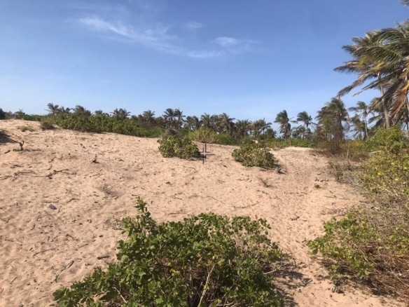 Residential 4.5-Acres Beachfront Land for Sale in Ngomeni MAL52S (2)
