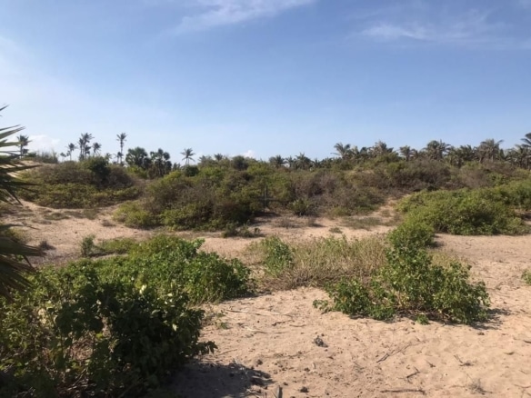 Residential 4.5-Acres Beachfront Land for Sale in Ngomeni MAL52S (3)