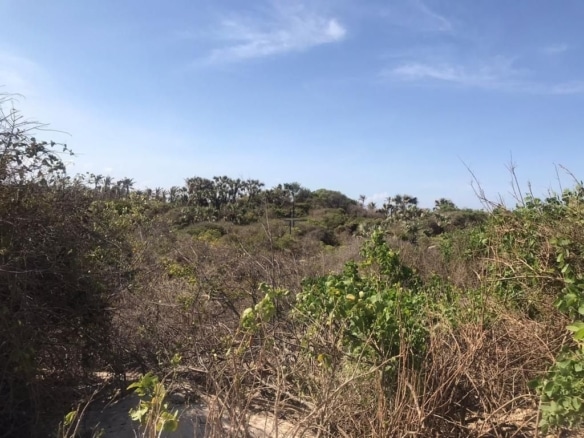 Residential 4.5-Acres Beachfront Land for Sale in Ngomeni MAL52S (4)