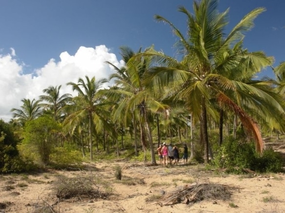 6.7-Acres Beachfront Land for Sale in Ngomeni MAL39S (3)