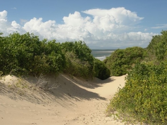 6.7-Acres Beachfront Land for Sale in Ngomeni MAL39S (4)