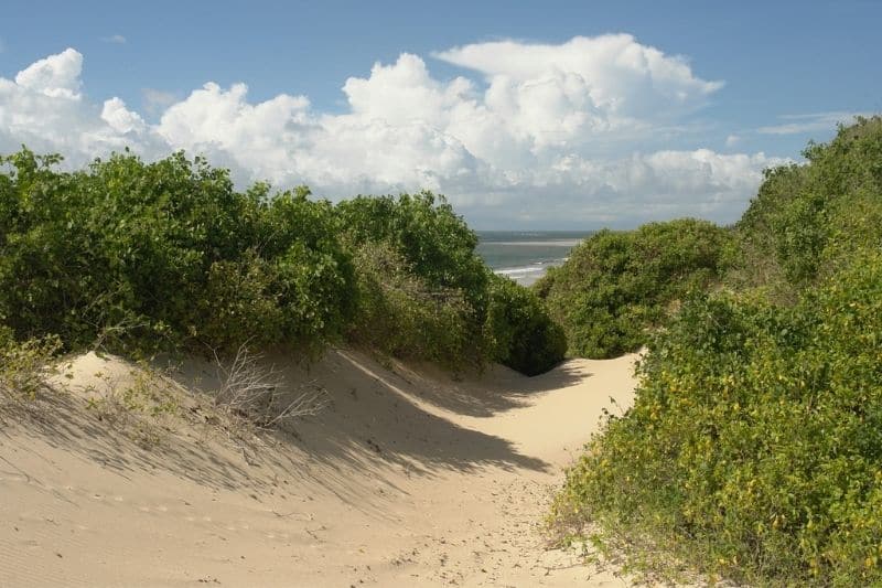 6.7-Acres Beachfront Land for Sale in Ngomeni MAL39S (4)