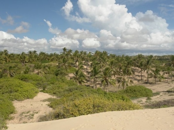 6.7-Acres Beachfront Land for Sale in Ngomeni MAL39S (5)