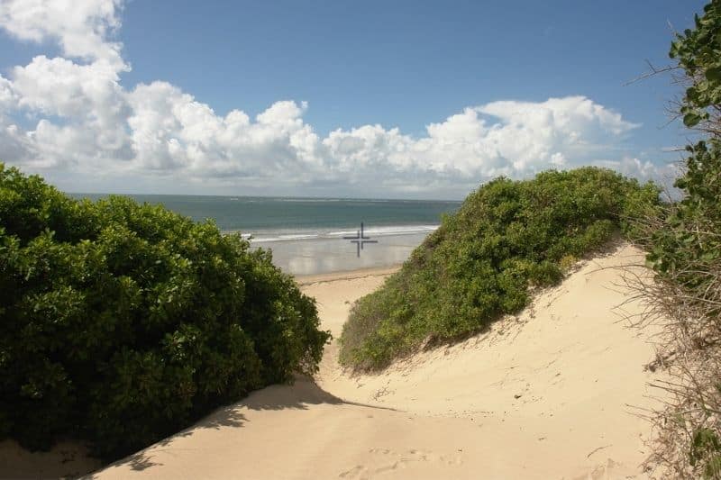 6.7-Acres Beachfront Land for Sale in Ngomeni MAL39S (6)