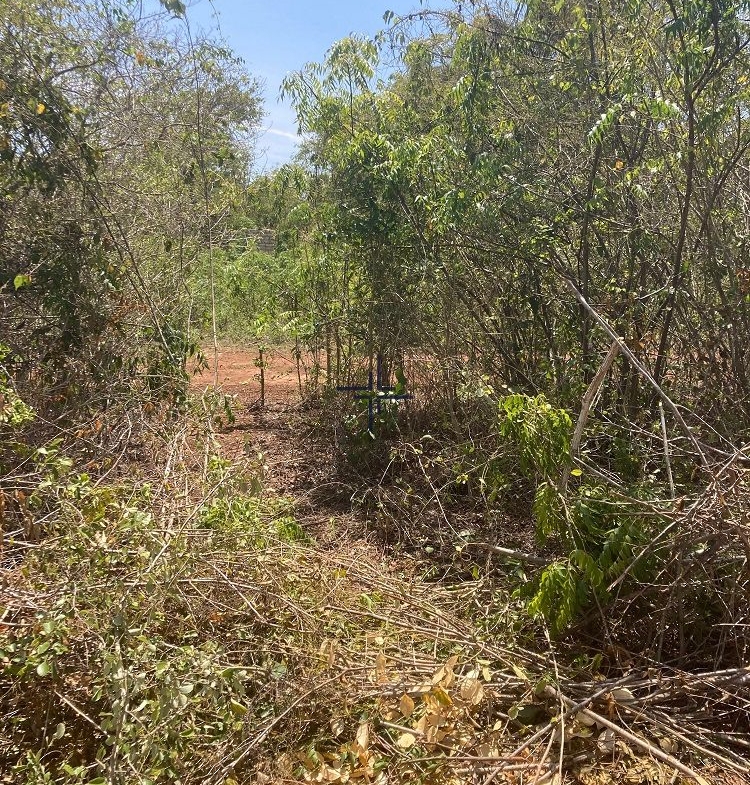 Land for sale South Coast Kenya - Tiwi- 9-acres (Image 7)