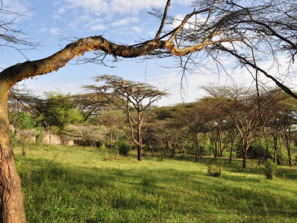 2 Bedroom House for Sale off Maasai Lodge Road KIT09S (1)