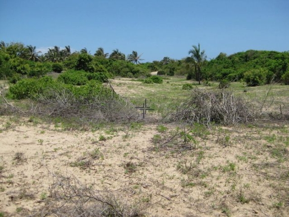 Beach Plot for Sale in Ras Ngomeni, Kenya Coast - MAL55S (5)