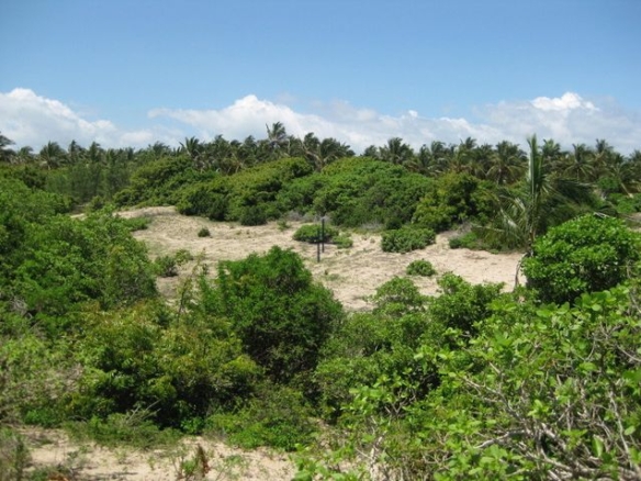 Beach Plot for Sale in Ras Ngomeni, Kenya Coast - MAL54S (6)