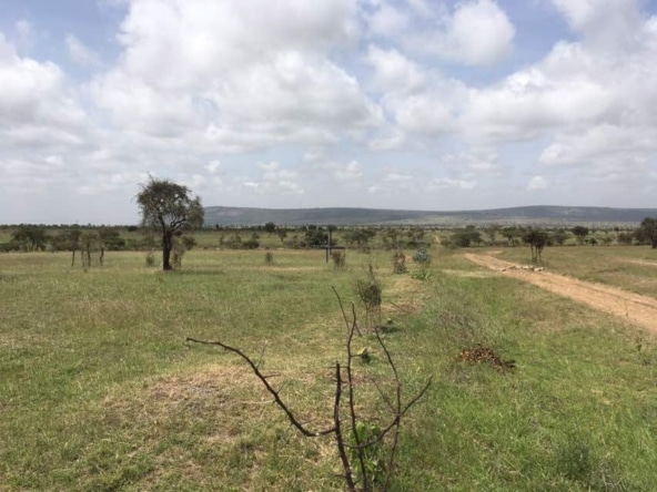 5-Acres of Land for Sale in Maanzoni, Machakos County -ATR13S (1)