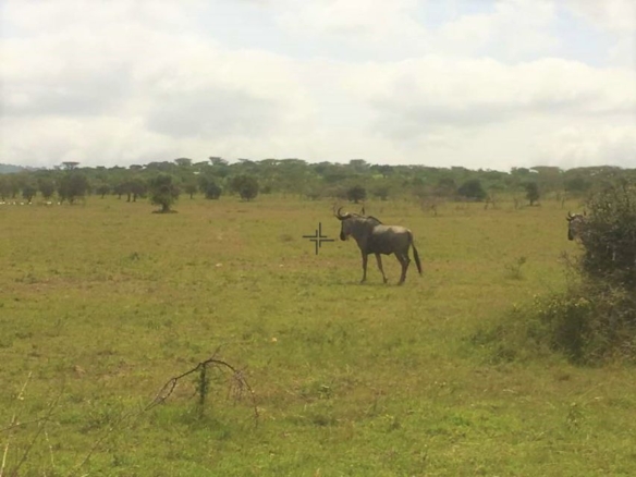 5-Acres of Land for Sale in Maanzoni, Machakos County -ATR13S (6)