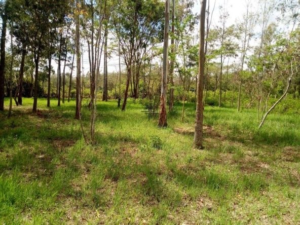 Half-acre land for sale in Karen - KAR298S
