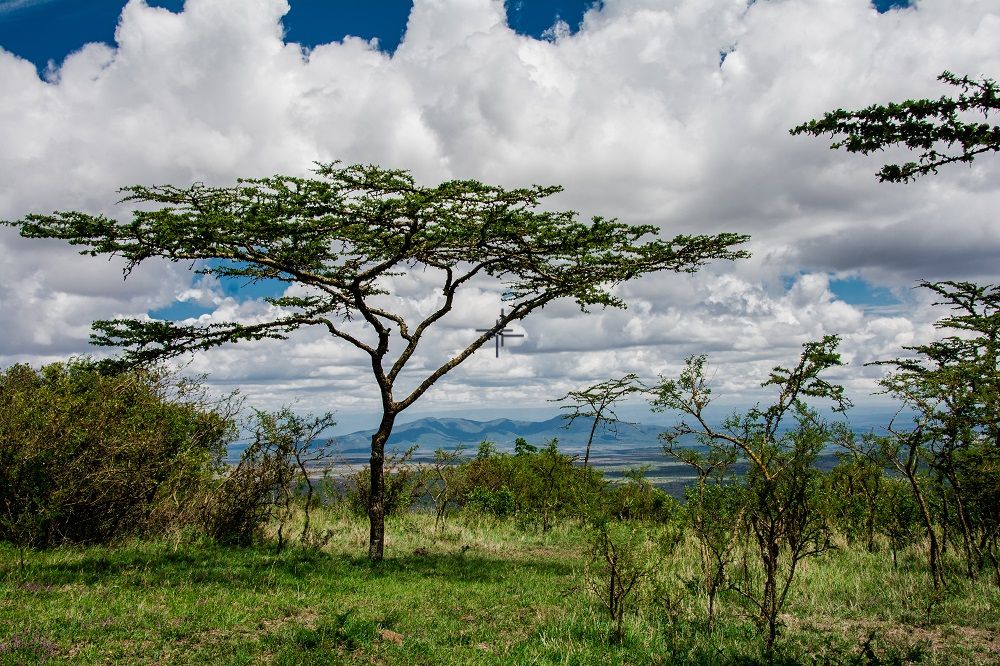 Land for sale in Champagne Ridge, Kajiado KAJ021S (1)